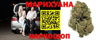 индика Гусиноозёрск