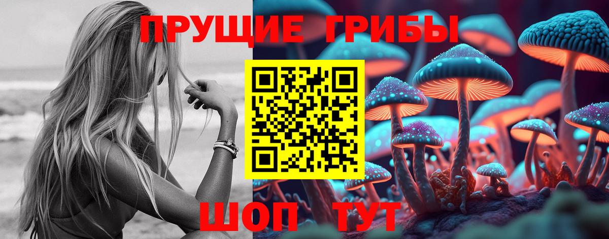 Псилоцибиновые грибы Psilocybine cubensis Новоалтайск