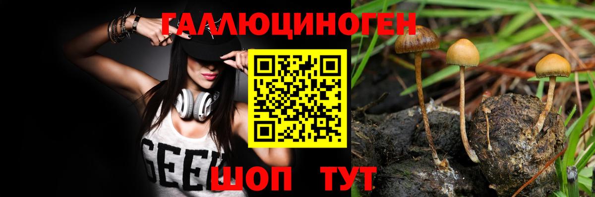 Псилоцибиновые грибы MAGIC MUSHROOMS  Вход с VPN  Новоалтайск  закладка  Галлюциногенные грибы MAGIC MUSHROOMS 